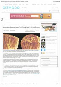Geological specimen - DVD AND  DOCS RELATING TO GIANT FOSSIL SPERM DISCOVERY (MIOCOENE ERA OSTRACOD)