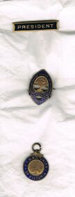 Accessory - RANDALL COLLECTION: SELECTION OF BADGES RELATING TO R BRUCE PLOWMAN