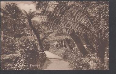 Postcard - FERNERY, ROSALIND PARK, BENDIGO