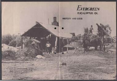 Document - EVERGREEN EUCALYPTUS OIL