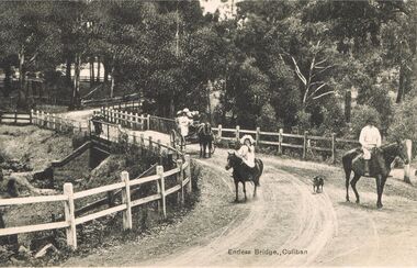 Photograph - ENDERS BRIDGE COLIBAN