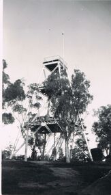Photograph - PHOTOGRAPH OF THE LOOKOUT TOWER IN ROSALIND PARK