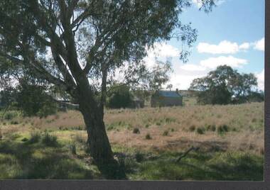 Photograph - RAVENSWOOD CROWN LANDS