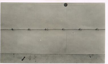 Photograph - ABBOTT COLLECTION:  BARB WIRE