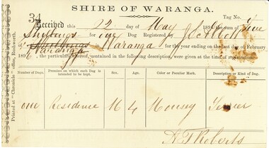 Document - ABBOTT COLLECTION: RECEIPT, 1895