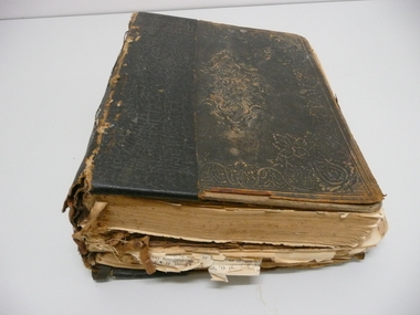 Book - ABBOTT FAMILY BIBLE, 1862
