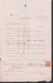 Document - COHN BROTHERS COLLECTION: TRANSFER OF SHARES CERTIFICATE 1895