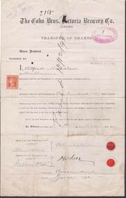 Document - COHN BROTHERS COLLECTION: TRANSFER OF SHARES CERTIFICATE 1895