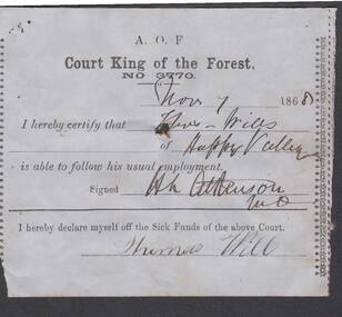 Document - ANCIENT ORDER OF FORESTERS NO. 3770 COLLECTION: MEDICAL CERTIFICATE