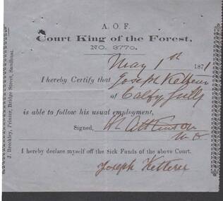 Document - ANCIENT ORDER OF FORESTERS NO. 3770 COLLECTION: MEDICAL CERTIFICATE