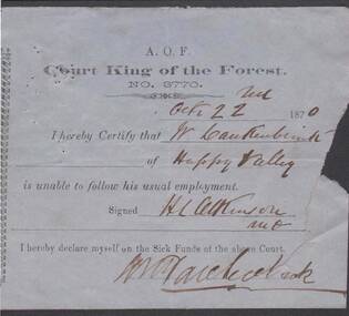 Document - ANCIENT ORDER OF FORESTERS NO. 3770 COLLECTION: MEDICAL CERTIFICATE