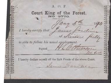 Document - ANCIENT ORDER OF FORESTERS NO. 3770 COLLECTION: MEDICAL CERTIFICATE