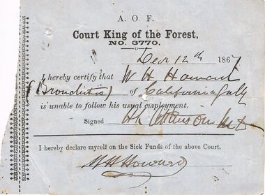 Document - ANCIENT ORDER OF FORESTERS NO 3770 COLLECTION: MEDICAL CERTIFICATE