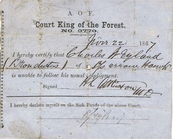 Document - ANCIENT ORDER OF FORESTERS NO 3770 COLLECTION: MEDICAL CERTIFICATE