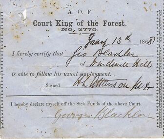 Document - ANCIENT ORDER OF FORESTERS NO 3770 COLLECTION: MEDICAL CERTIFICATE