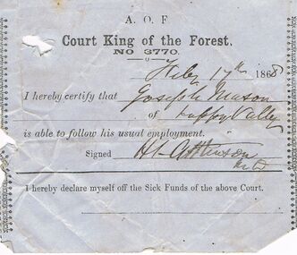 Document - ANCIENT ORDER OF FORESTERS NO 3770 COLLECTION: MEDICAL CERTIFICATE