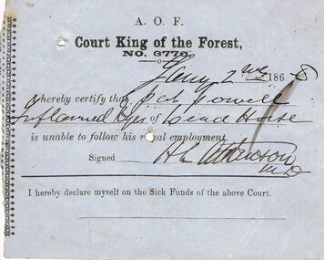 Document - ANCIENT ORDER OF FORESTERS NO. 3770 COLLECTION: MEDICAL CERTIFICATE