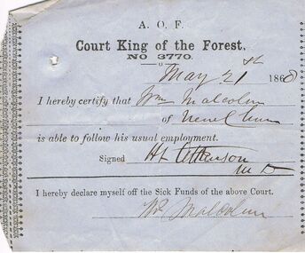 Document - ANCIENT ORDER OF FORESTERS NO. 3770 COLLECTION: MEDICAL CERTIFICATE