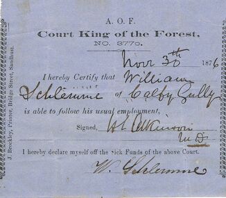 Document - ANCIENT ORDER OF FORESTERS NO 3770 COLLECTION: DOCTOR'S CERTIFICATE