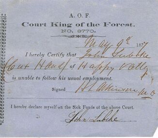 Document - ANCIENT ORDER OF FORESTERS NO 3770 COLLECTION: DOCTOR'S CERTIFICATE