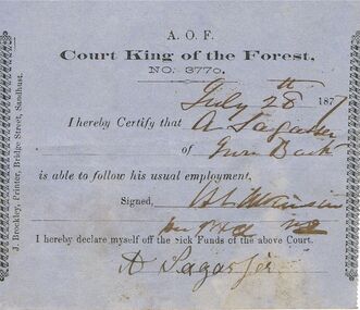 Document - ANCIENT ORDER OF FORESTERS NO 3770 COLLECTION: DOCTOR'S CERTIFICATE