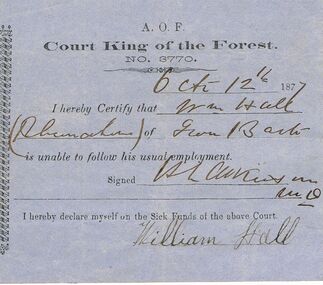 Document - ANCIENT ORDER OF FORESTERS NO 3770 COLLECTION: DOCTOR'S CERTIFICATE