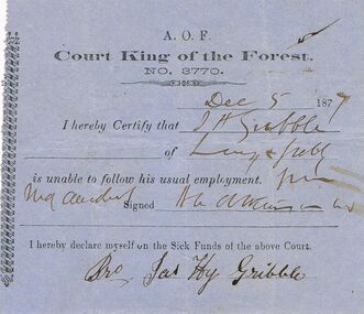 Document - ANCIENT ORDER OF FORESTERS NO 3770 COLLECTION: DOCTOR'S CERTIFICATE