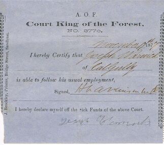 Document - ANCIENT ORDER O FFORESTERS NO 3770 COLLECTION - DOCTOR'S CERTIFICATE