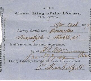 Document - ANCIENT ORDER OF FORESTERS NO 3770 COLLECTION: DOCTOR'S CERTIFICATE