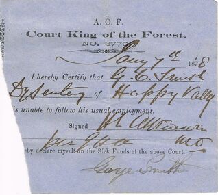 Document - ANCIENT ORDER OF FORESTERS NO 3770 COLLECTION: DOCTOR'S CERTIFICATE