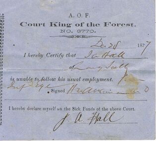 Document - ANCIENT ORDER OF FORESTERS NO 3770 COLLECTION: DOCTOR'S CERTIFICATE