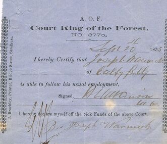 Document - ANCIENT ORDER OF FORESTERS NO 3770 COLLECTION: DOCTOR'S CERTIFICATE