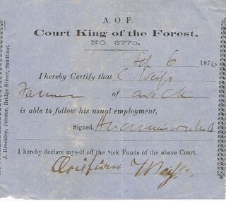 Document - ANCIENT ORDER OF FORESTERS NO 3770 COLLECTION: DOCTOR'S CERTIFICATE