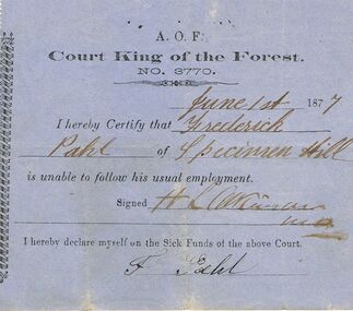 Document - ANCIENT ORDER OF FORESTERS NO 3770 COLLECTION: DOCTOR'S CERTIFICATE