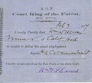 Document - ANCIENT ORDER OF FORESTERS NO 3770 COLLECTION: DOCTOR'S CERTIFICATE