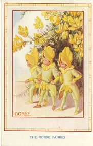 Postcard - GORSE FAIRIES POSTCARD WISHING MISS BUSH MANY HAPPY RETURNS