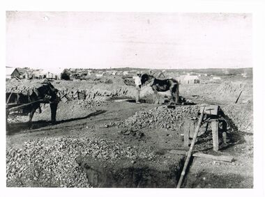 Photograph - WES HARRY COLLECTION: LANDSCAPE VIEW OF EARLY BENDIGO GOLD MINES