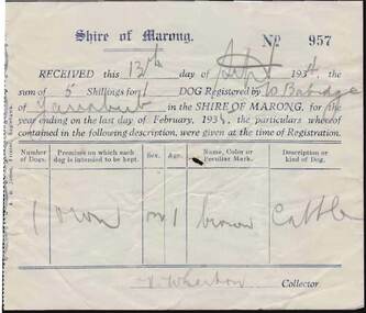 Document - W BABIDGE COLLECTION: SHIRE OF MARONG DOG REGISTRATION RECEIPT