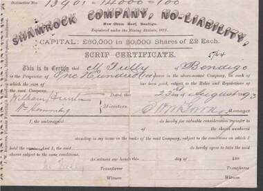 Document - KELLY AND ALLSOP COLLECTION: SHARE CERTIFICATE - SHAMROCK COMPANY, 23/08/1893