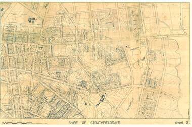 Map - SHIRE OF STRATHFIELDSAYE SHEET 3 PLAN OF PROPERTIES