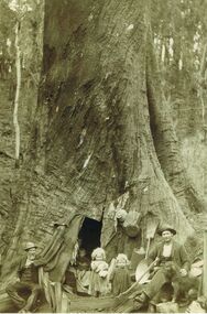 Photograph - FAMILY LIVING IN LARGE TREE TRUNK