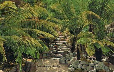 Postcard - POSTCARD: COLOUR PHOTO OF FERNERY IN  ROSALIND PARK ,  BENDIGO