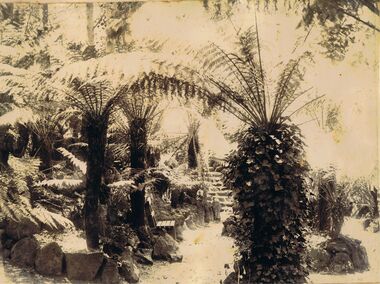 Photograph - FERNERY, ROSALIND PARK