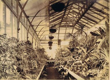 Photograph - INTERIOR OF CONSERVATORY BUILDING, PALL MALL, BENDIGO