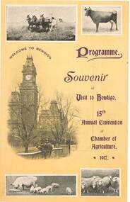 Document - DOCUMENT - SOUVENIR OF VISIT TO BENDIGO, 05/07/1917