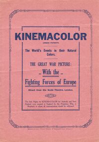 Document - LYDIA CHANCELLOR COLLECTION: 'THE GREAT WAR PICTURE WITH THE FIGHTING FORCES OF EUROPE