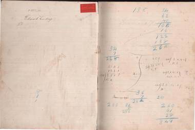 Document - JOHN EVANS COLLECTION: CYANIDE AND FINANCIAL RECORDS FOR MARCH 1902 TO JAN 1905