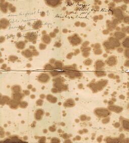 Ephemera - GOLD PATTERNED MATERIAL FOR DECORATION PURPOSES