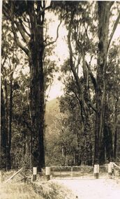 Photograph - BLACK AND WHITE PHOTOGRAPH OF MAIN ENTRANCE MT KITCHENER    MARYSVILLE