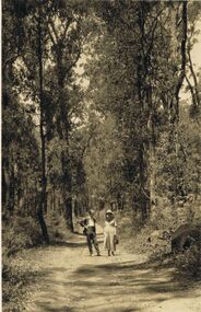 Photograph - BLACK AND WHITE PHOTOGRAPH OF ROAD TO STEVENSON FALLS    MARYSVILLE